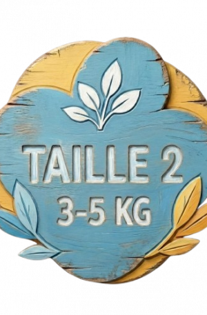 Taille 2 de 3 à 5kg Abonnement Pack 1 mois 240 couches