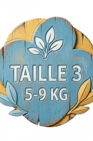 Taille 3 de 5 à 9kg Abonnement Pack 1 mois 240 couches